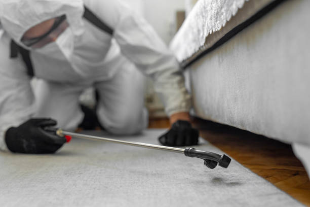 Professional Termite Control technician working in Lithonia, GA