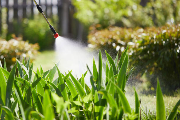 24/7 Emergency Termite Control experts in Lithonia, GA